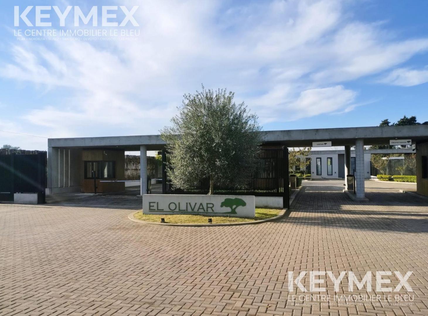 Foto de Terreno en venta en El Olivar, imagen 5
