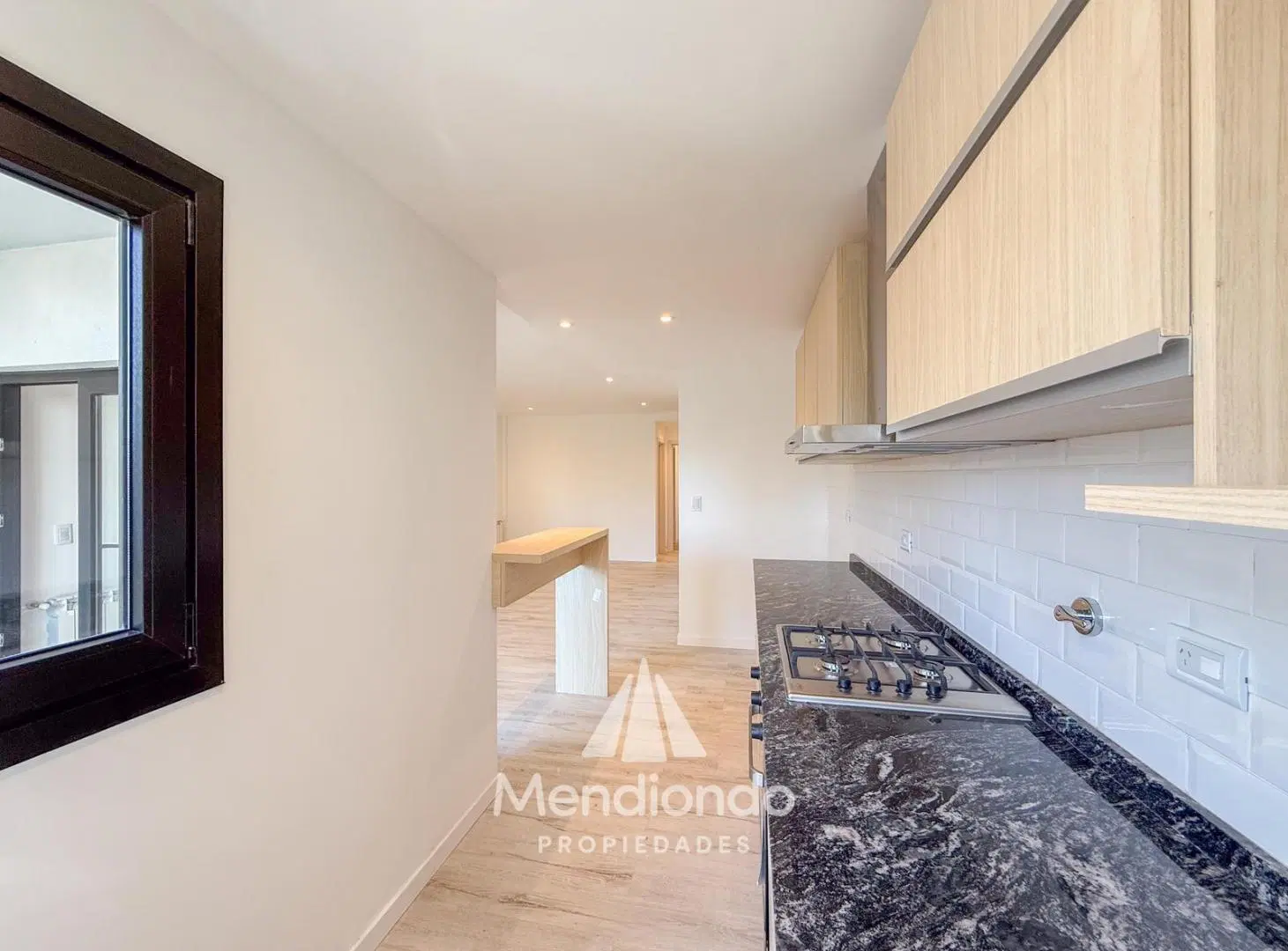 Semipiso 2 ambientes con balcon terraza A ESTRENAR en Plaza Mitre 3