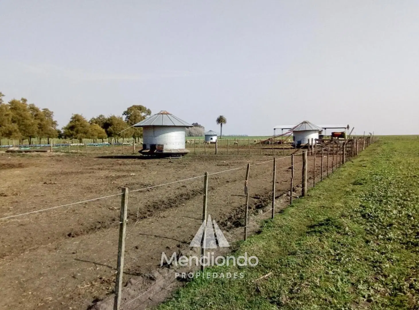 Campo - 235 hectáreas / Mechongué, Gral. Alvarado 5