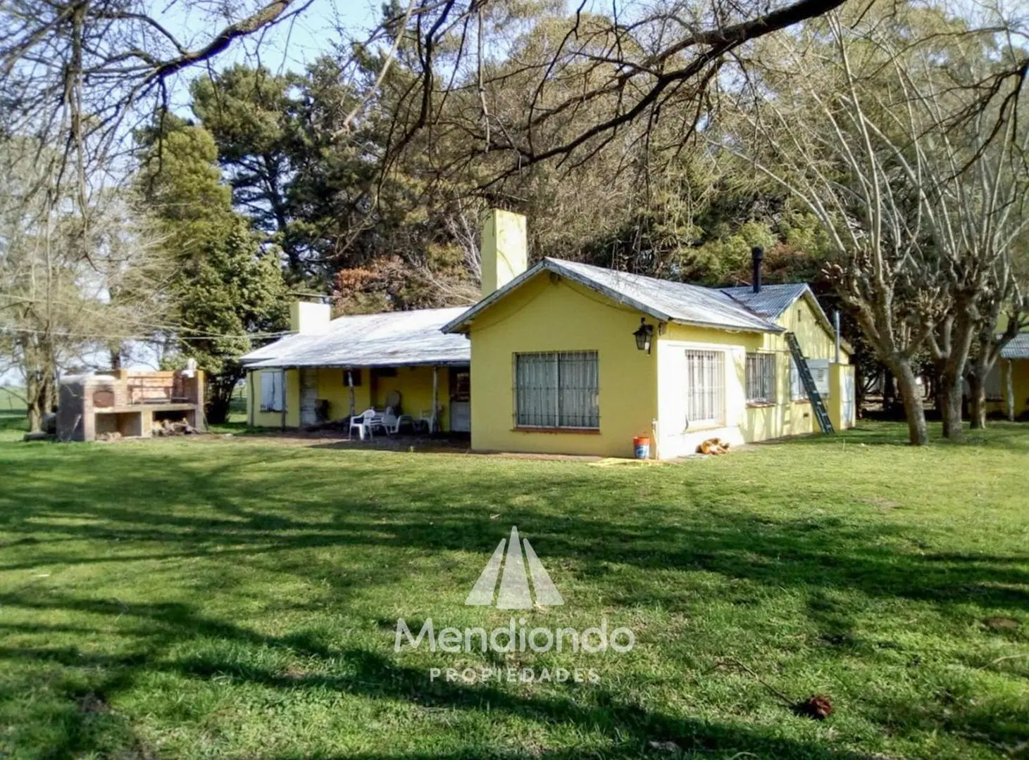 Campo - 235 hectáreas / Mechongué, Gral. Alvarado 4