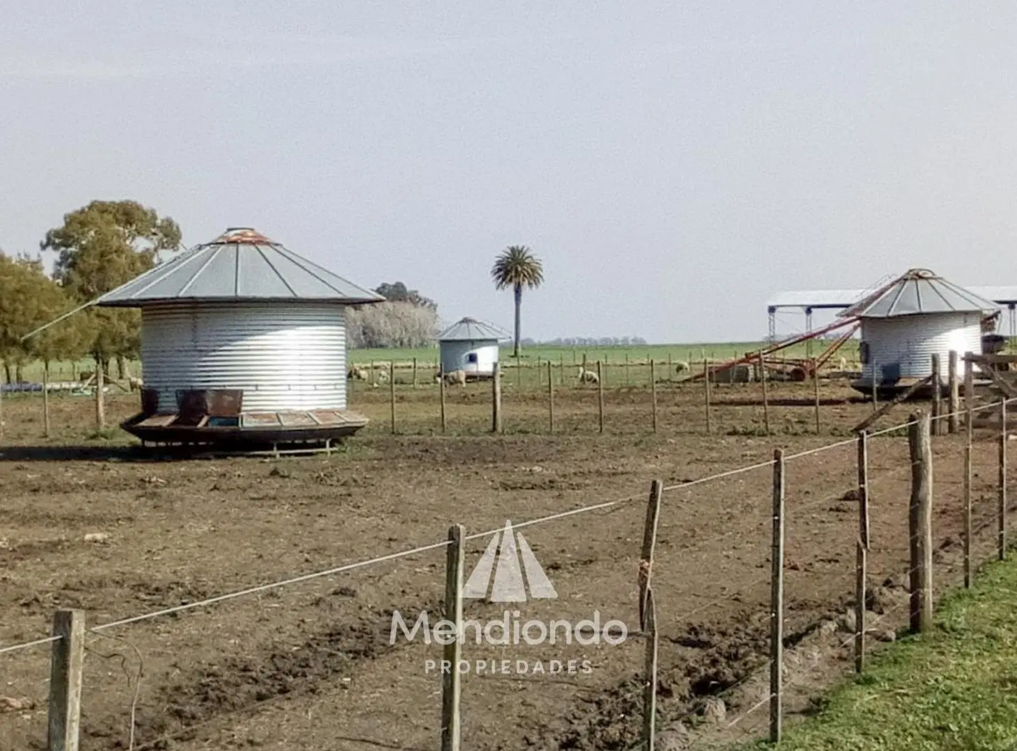 Campo - 235 hectáreas / Mechongué, Gral. Alvarado 3