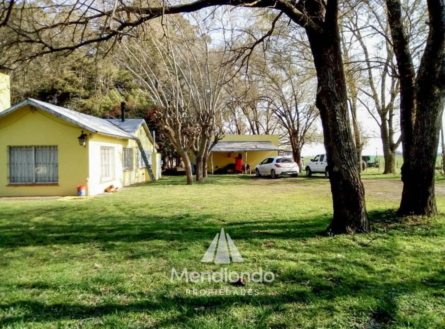 Campo - 235 hectáreas / Mechongué, Gral. Alvarado 2