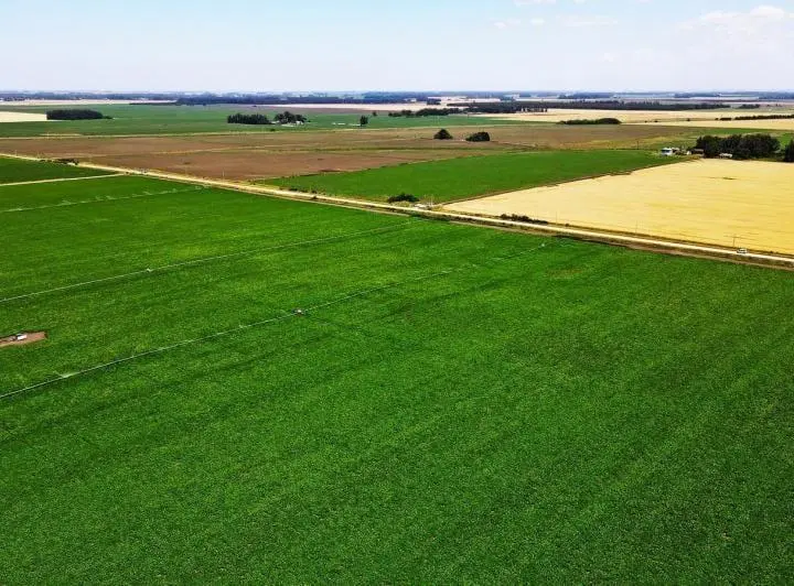 Campo 4 hectáreas / Miramar, Gral. Alvarado 2