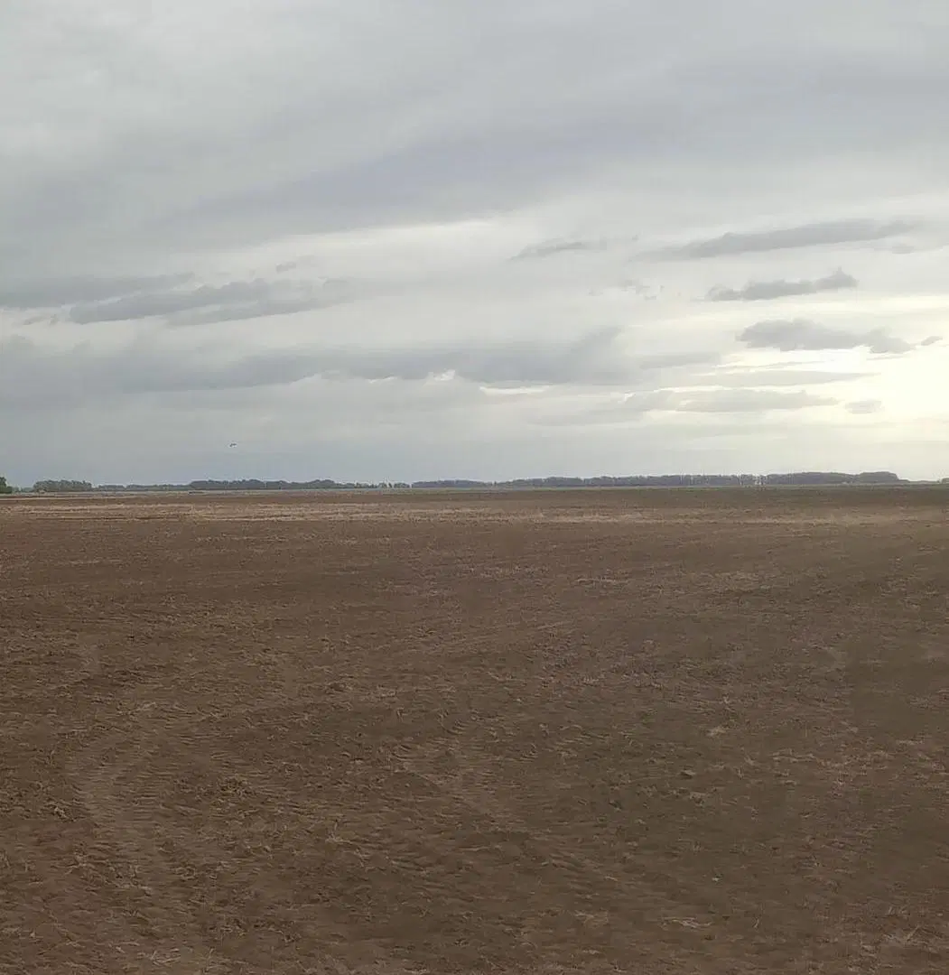 Campo de 133 hectáreas mixtas, Lobería 3