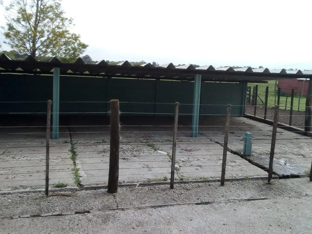 Campo 75 hectáreas agrícolas con infraestructura, Cte. N. Otamendi 5