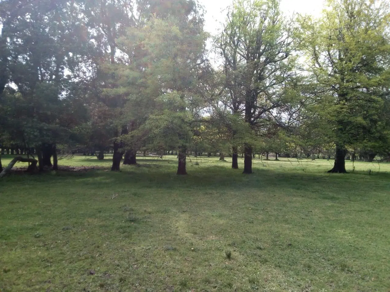 Campo 75 hectáreas agrícolas con infraestructura, Cte. N. Otamendi 4
