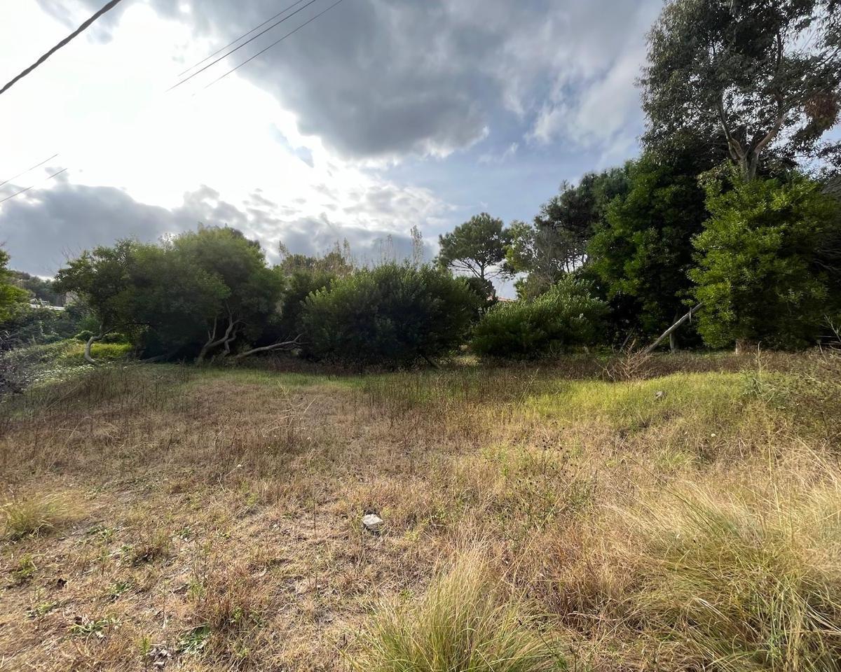 Lote Multifamiliar en Las Gaviotas, en Esquina! Apto Para 8 Unidades 2