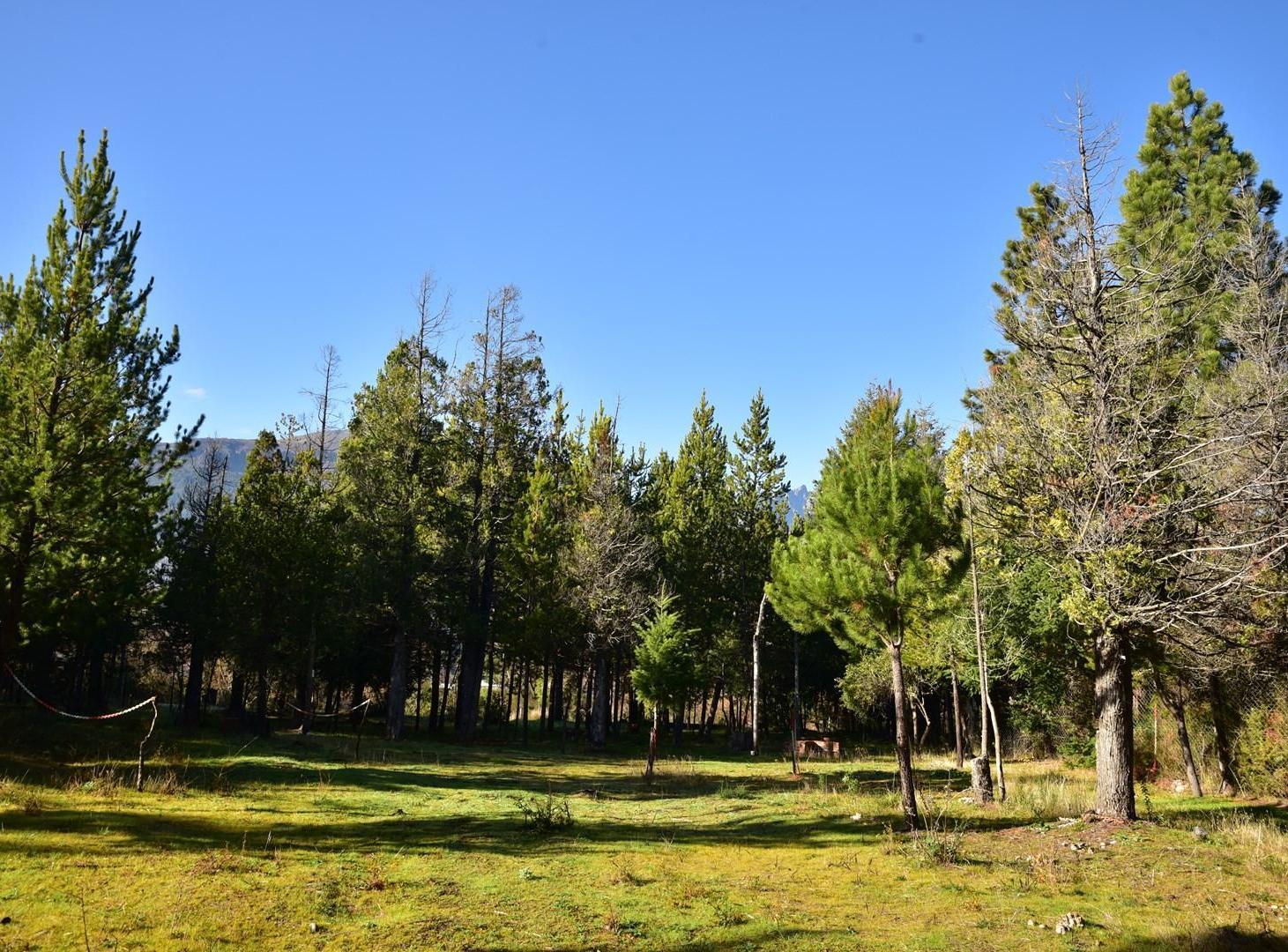 Foto de Casa Quinta en Venta en Mallín Ahogado, El Bolsón, Patagonia, imagen 3