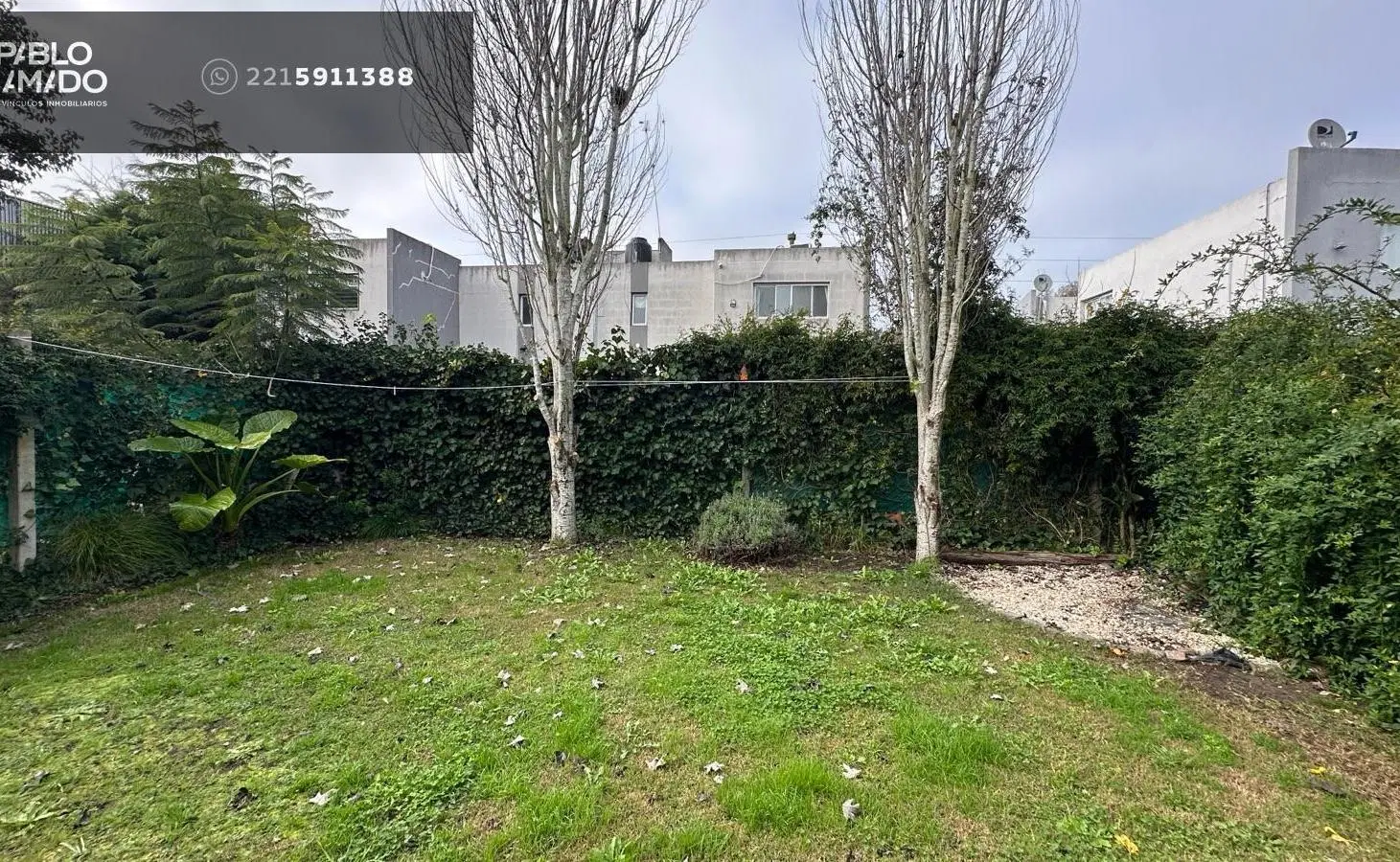 Duplex en 425 entre 14 y 15. 2 dormitorios. Patio. 8