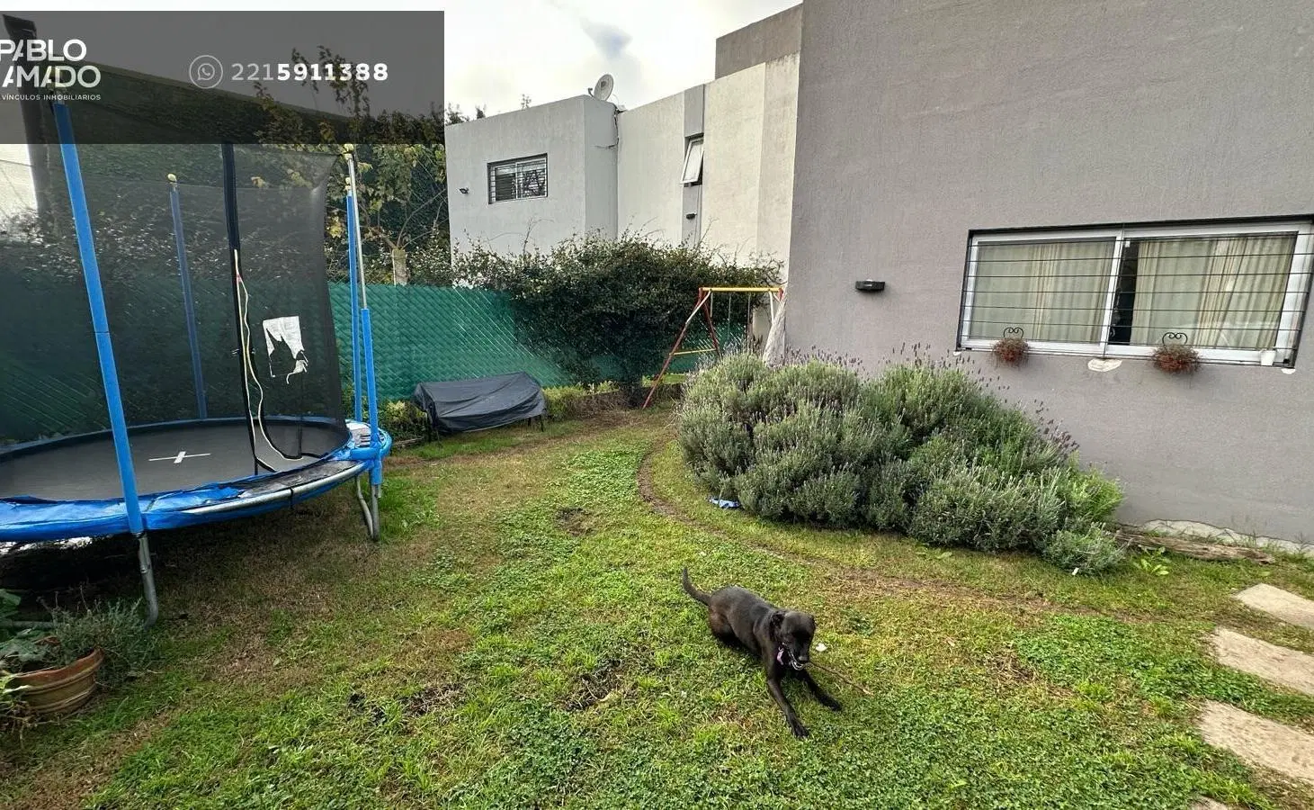 Duplex en 425 entre 14 y 15. 2 dormitorios. Patio. 4