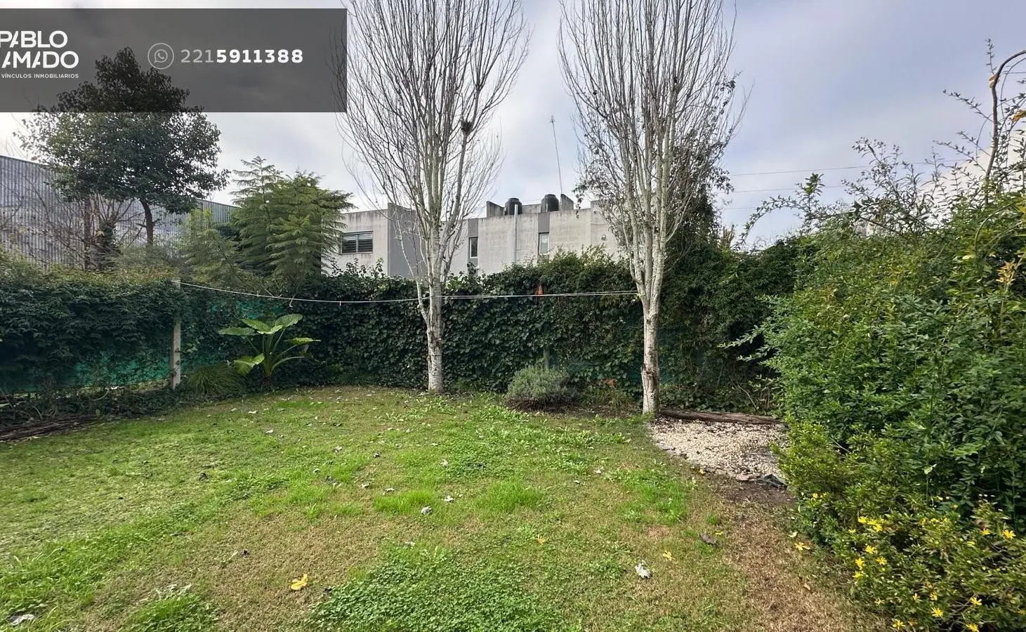 Duplex en 425 entre 14 y 15. 2 dormitorios. Patio. 5