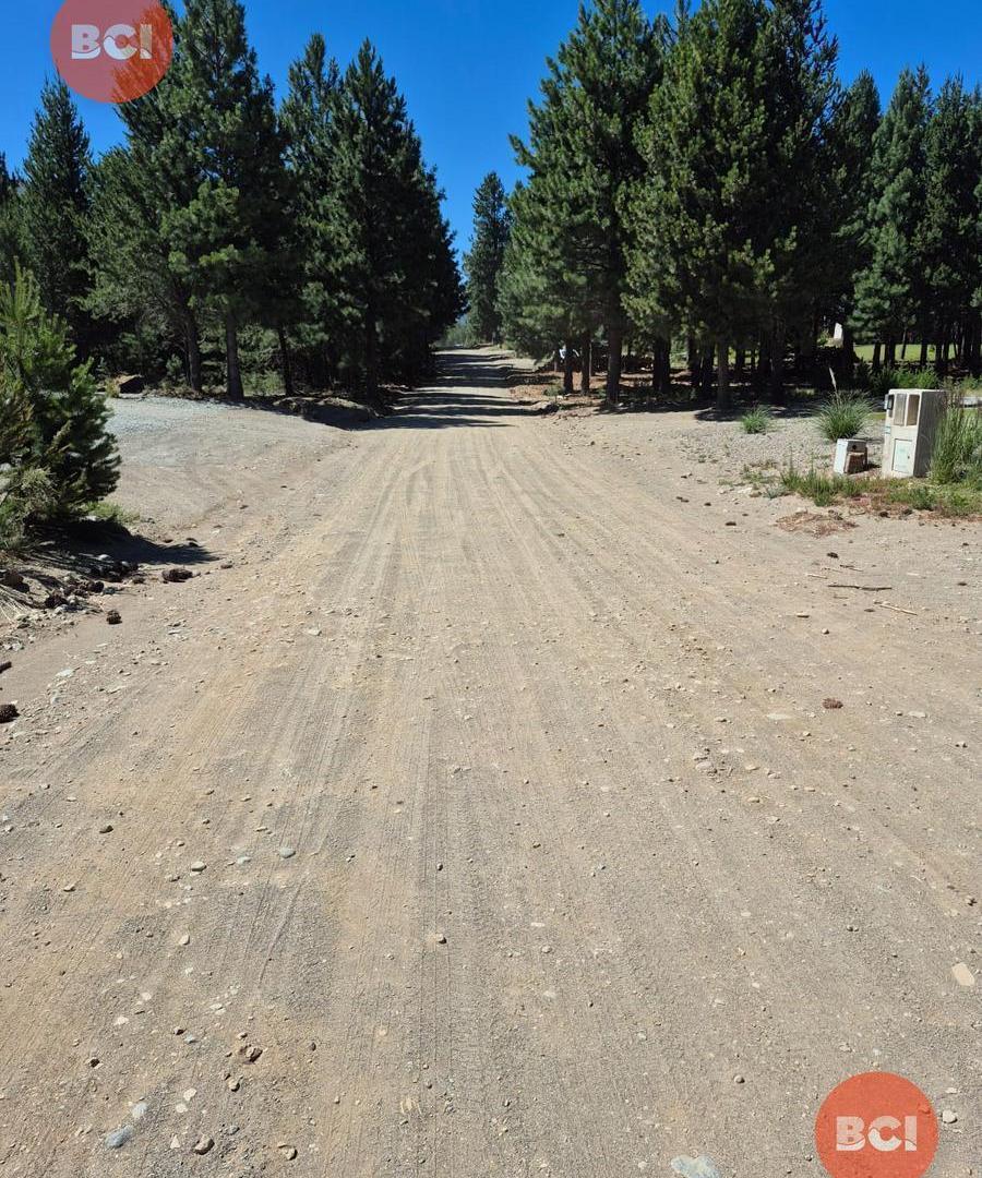 Foto de Lote en Dos Valles Bariloche con planos aprobados, imagen 4