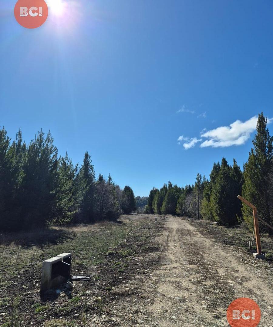 Foto de Terreno en Barrio Privado Bariloche, imagen 4