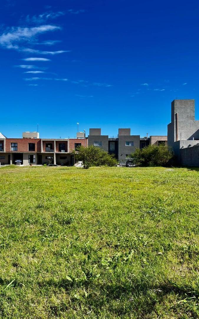 Foto de TERRENO EN VENTA EN LA CATALINA, imagen 5