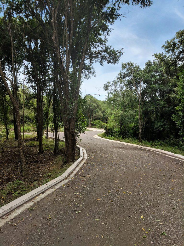 Foto de VENTA LOTE EN LOMAS DEL CIGARRAL – UNQUILLO, imagen 5