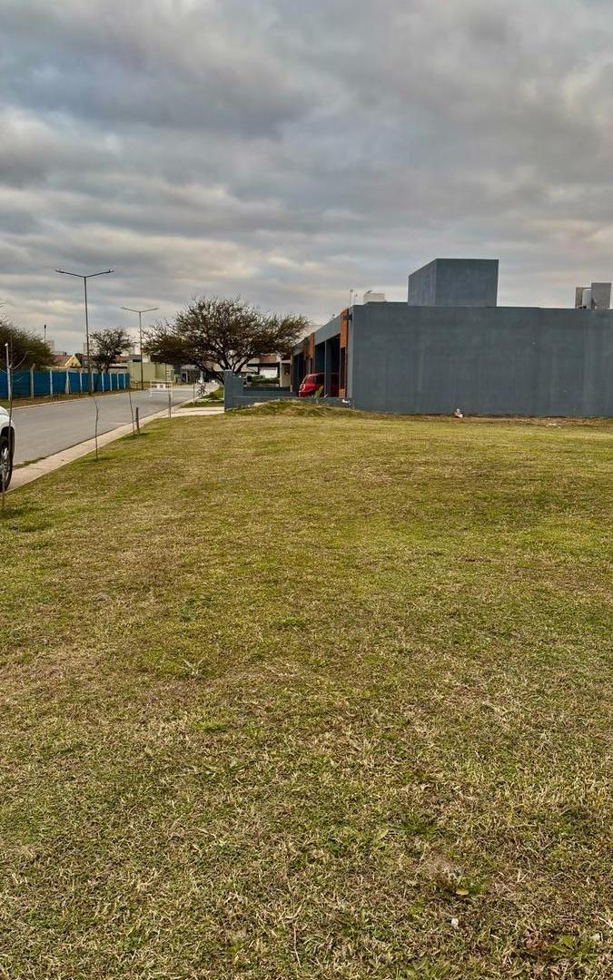 Foto de TERRENO EN VENTA SAN IGNACIO VILLAGE, imagen 3