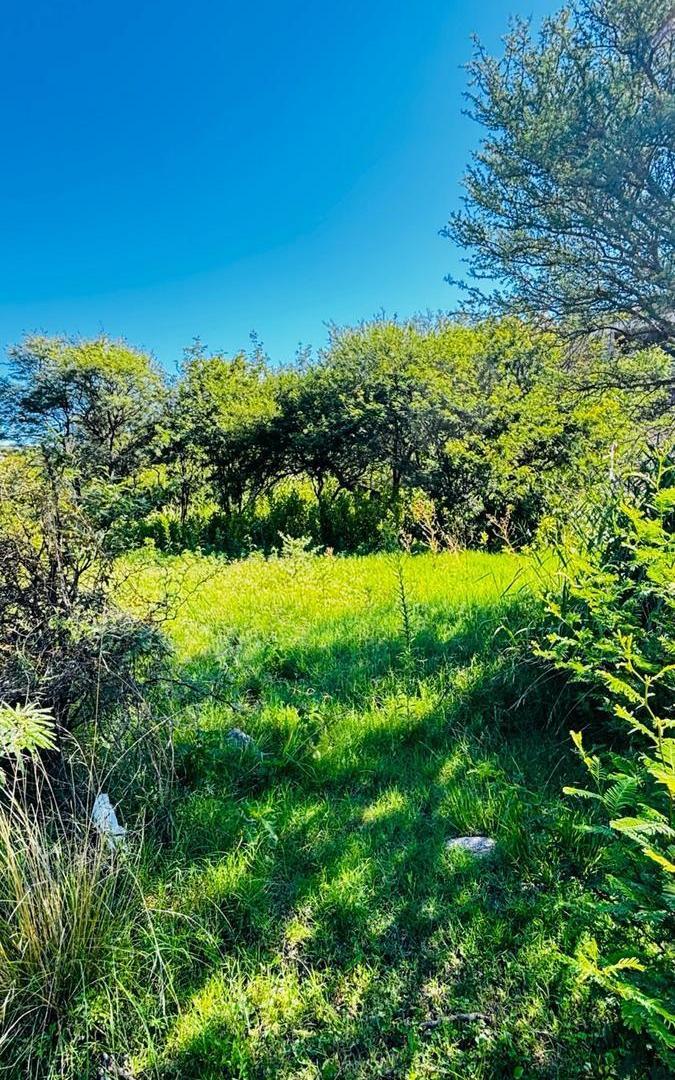 Foto de TERRENO EN VENTA COUNTRY LA DESEADA CÓRDOBA, imagen 4