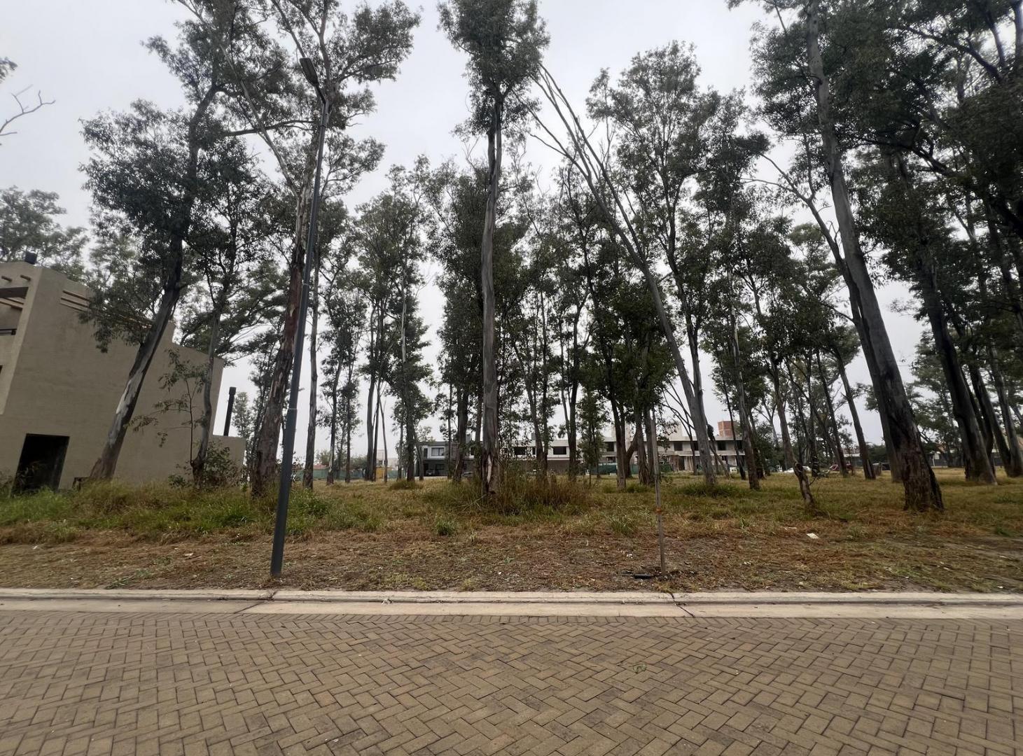 Foto de LOTE EN VENTA – NUEVO MALAGUEÑO, imagen 5