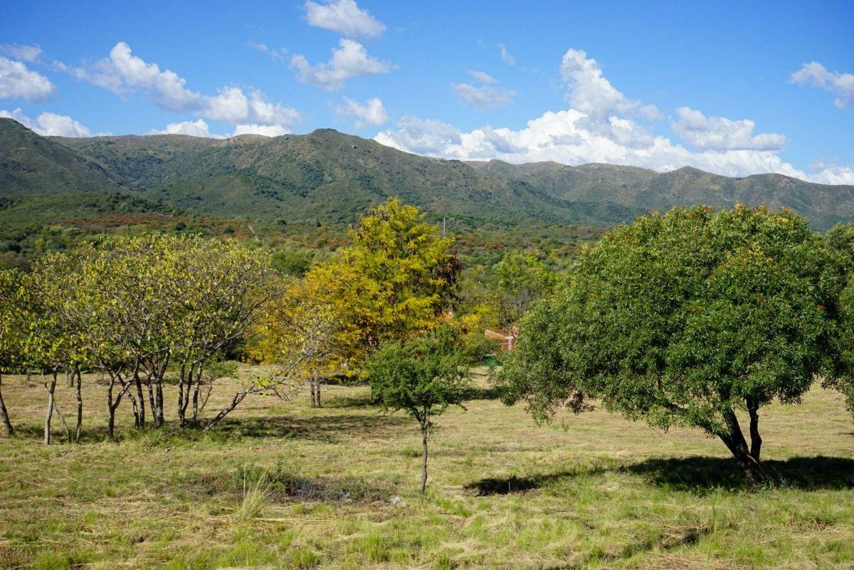 Foto de Terreno en venta en Casa Grande - Fincas del Valle, imagen 1
