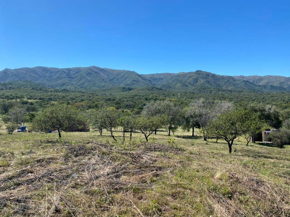 Foto de Terreno en venta en Casa Grande - Fincas del Valle, imagen 3