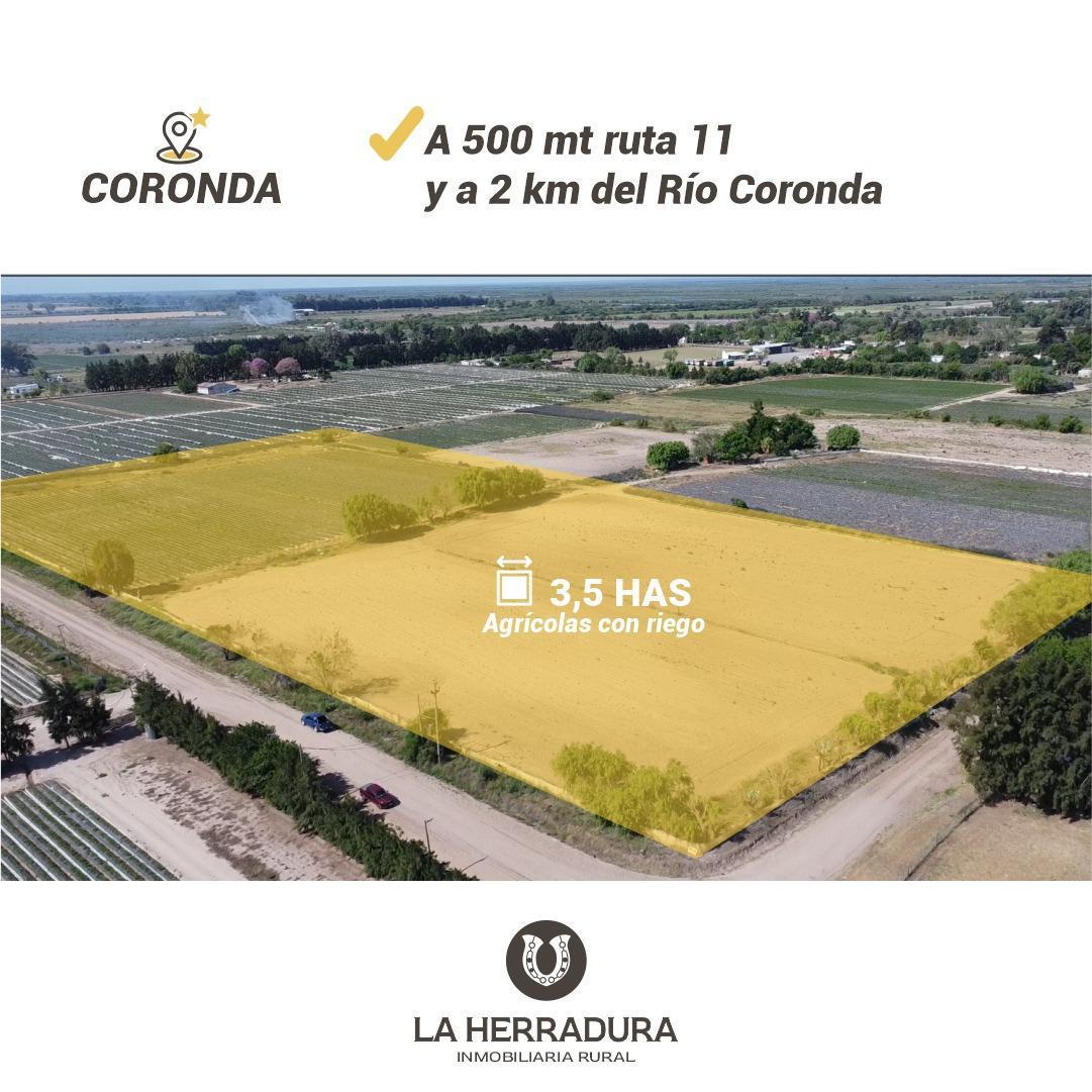 Coronda (Santa Fe) 3,5 Ha Quinta en Venta. con Riego. 1