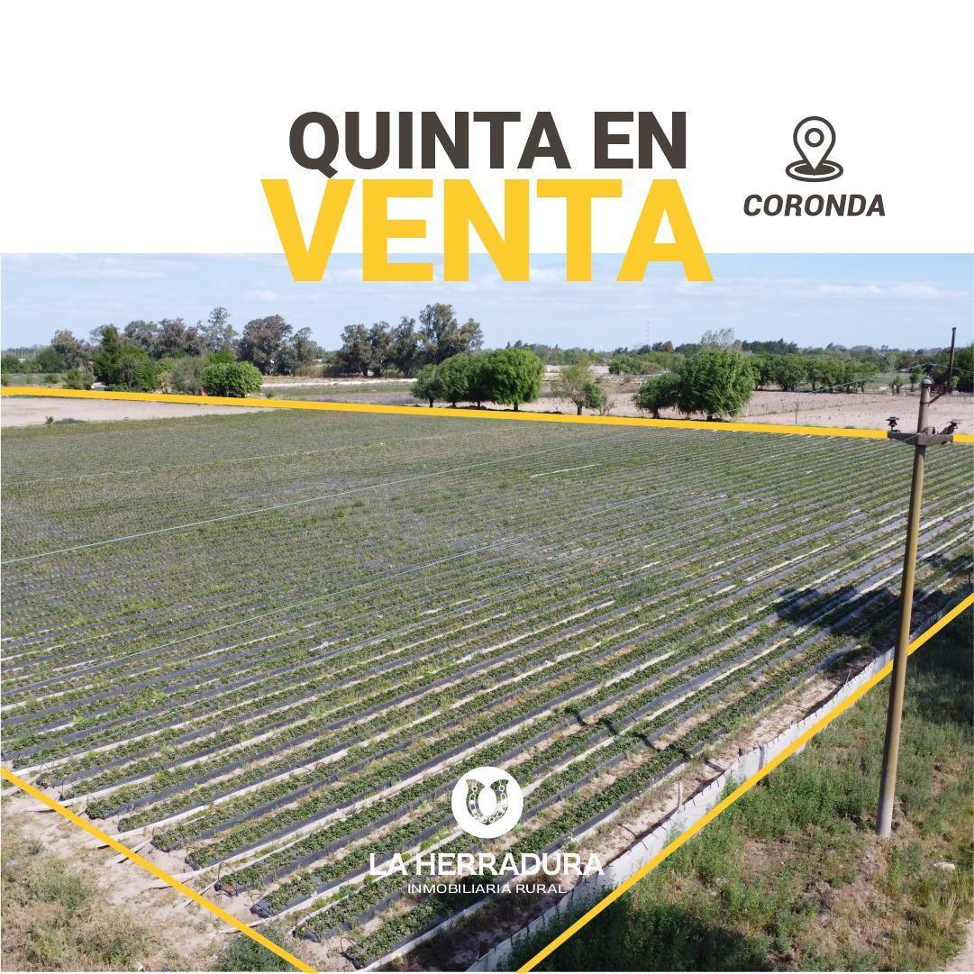 Coronda (Santa Fe) 3,5 Ha Quinta en Venta. con Riego. 2