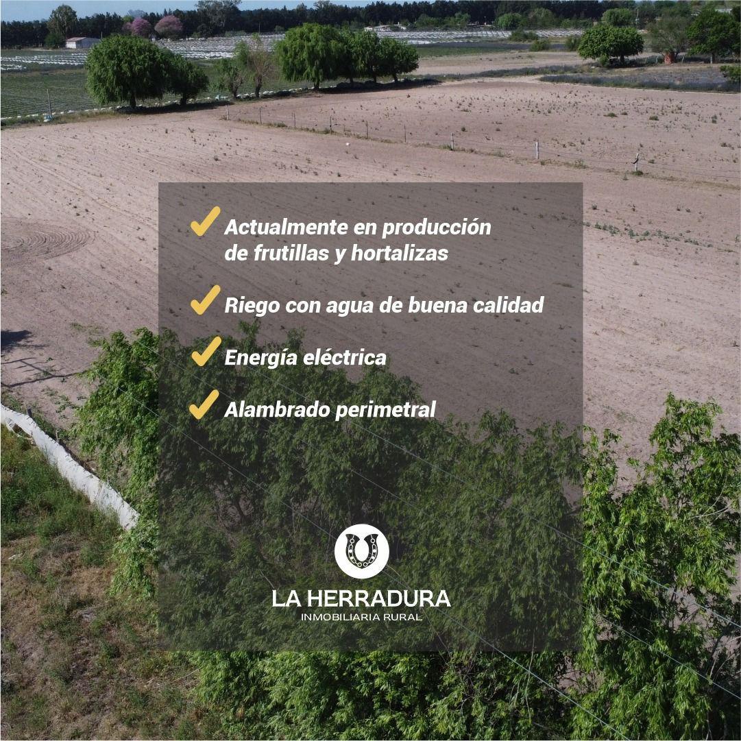 Coronda (Santa Fe) 3,5 Ha Quinta en Venta. con Riego. 3