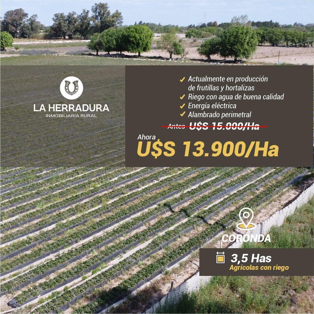 Coronda (Santa Fe) 3,5 Ha Quinta en Venta. con Riego. 5