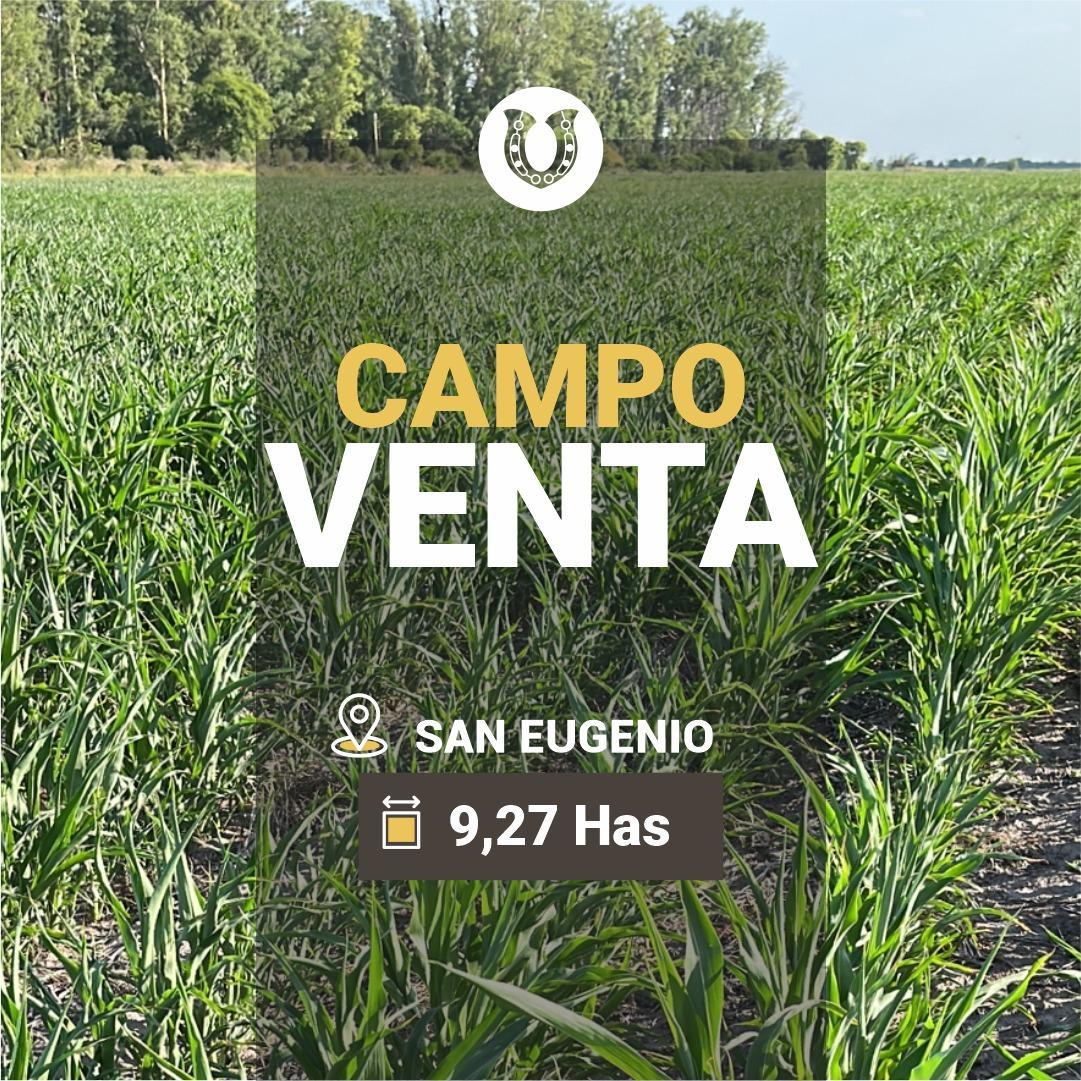 Foto de San Eugenio (Santa Fe) 9 Has agrícolas. Campo en venta. Excelente, imagen 4