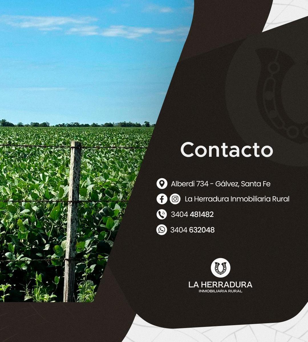 Foto de Sastre (Santa Fe) 30 Has agrícolas. Campo en venta., imagen 2