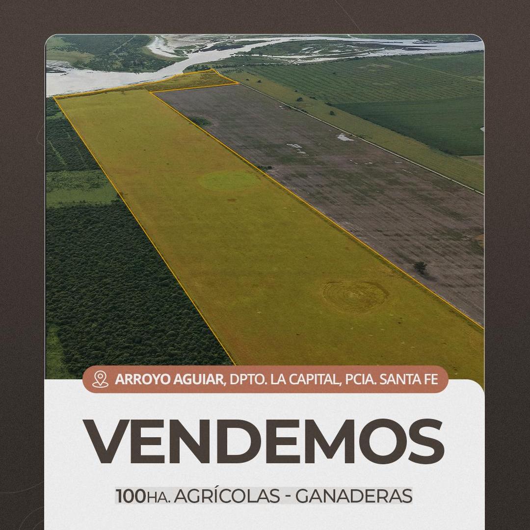 Foto de Arroyo Aguiar 100 has agricola, ganadera, turistica, imagen 1