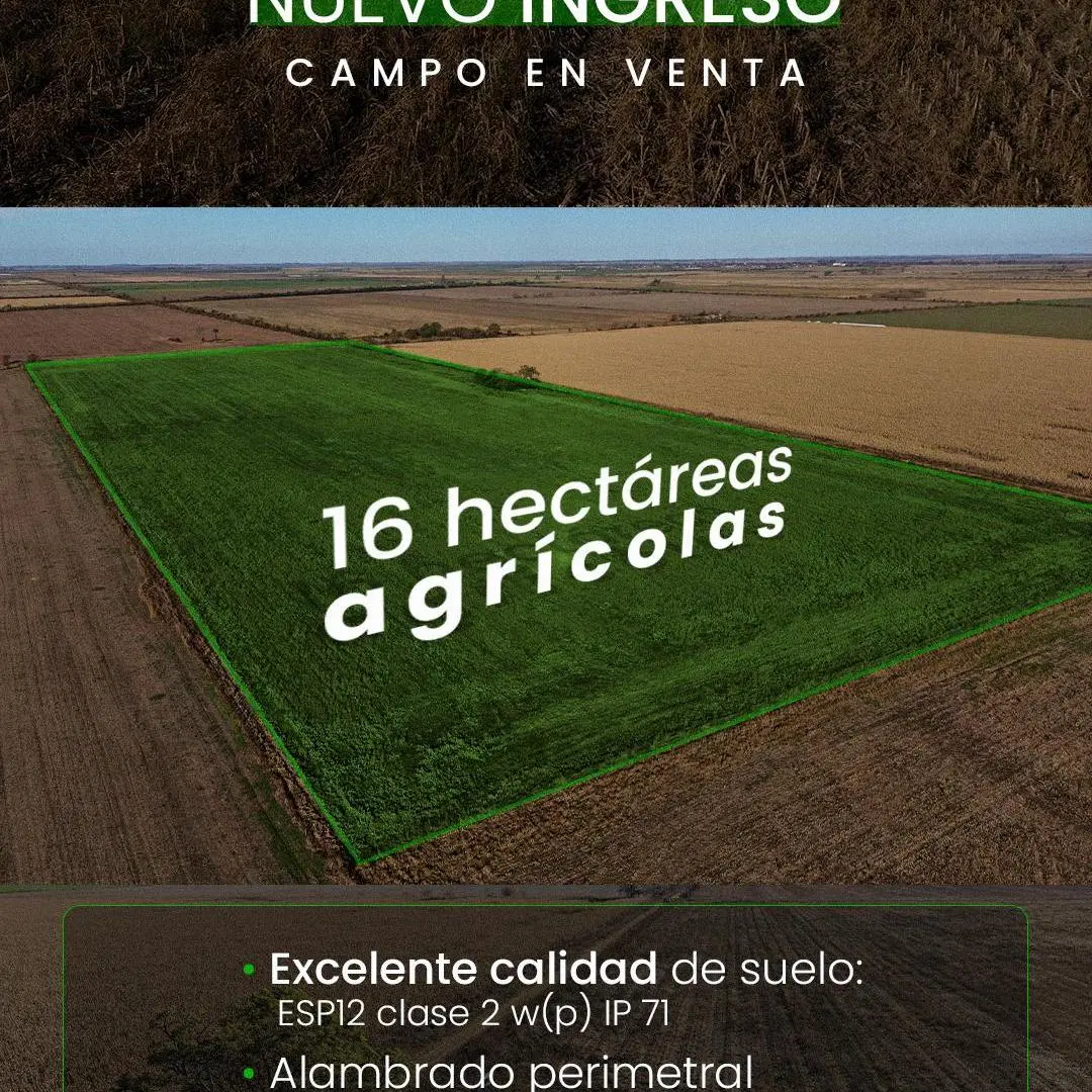 Santa Clara de Buena Vista 16 has agrícolas. Campo en venta 2