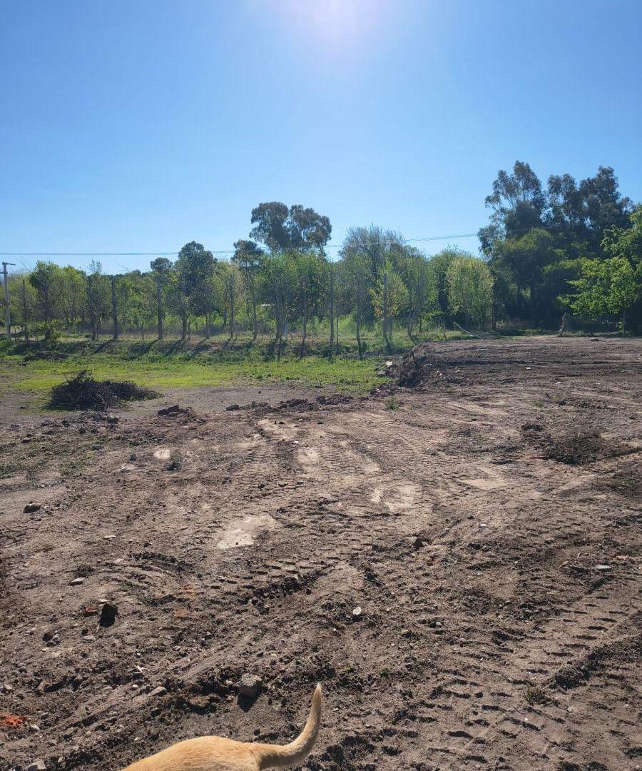 Foto de LOTE DE 2000 EN UNQUILLO EN AV SAN MARTÍN, imagen 4