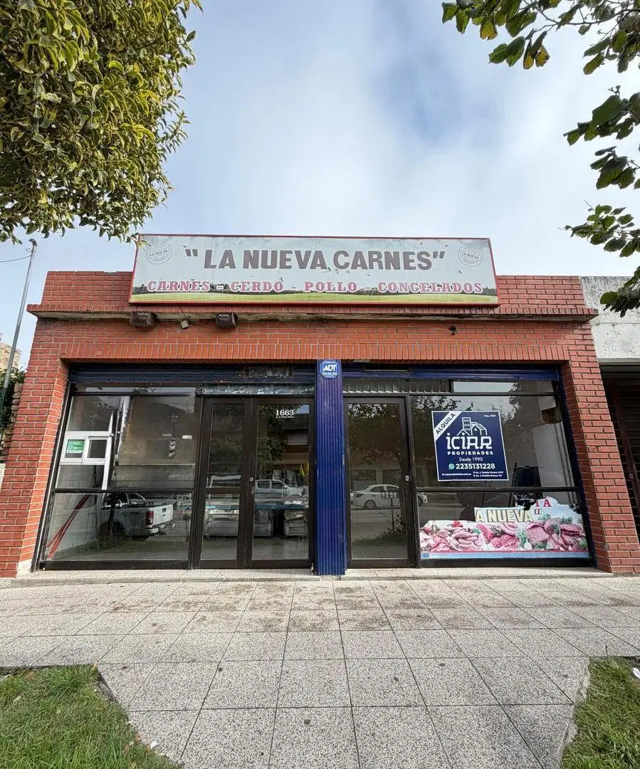 Local en Mar Del Plata 5