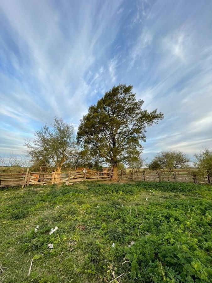 CAMPO EN VENTA