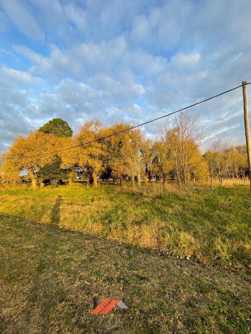 Lote. | Juan Manuel de Rosas 2