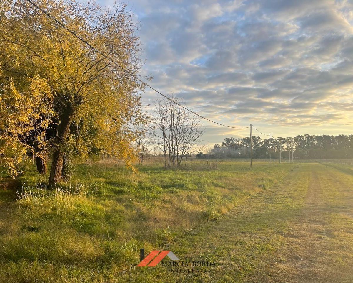 Lote. | Juan Manuel de Rosas 4