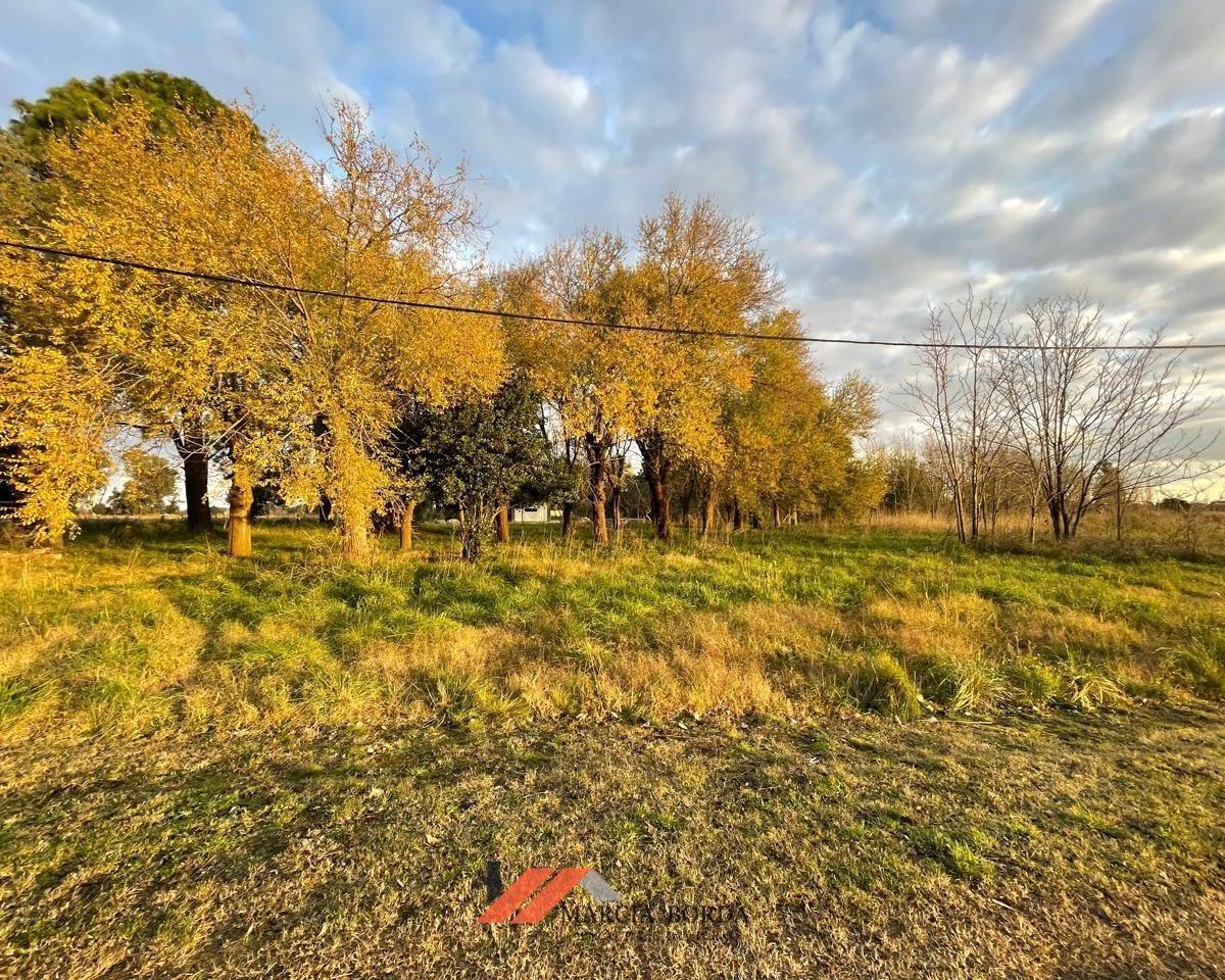 Lote. | Juan Manuel de Rosas 5