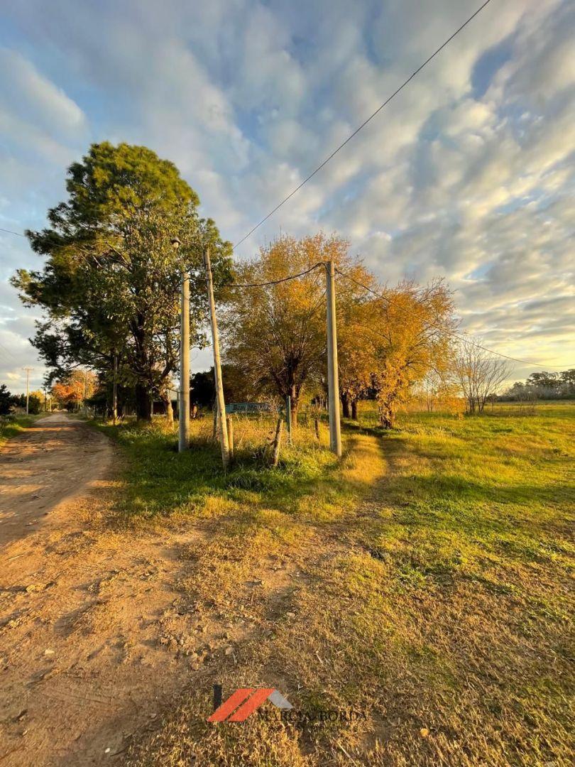 Lote. | Juan Manuel de Rosas 3
