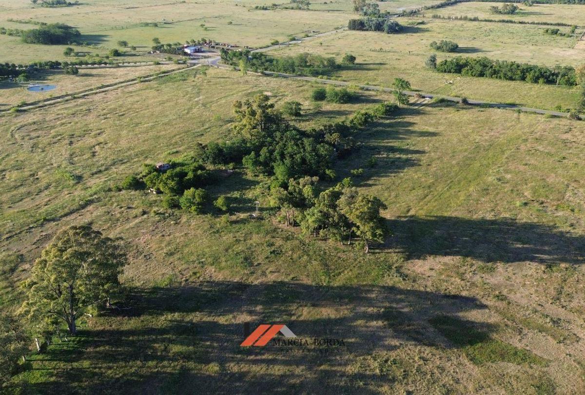 CAMPO EN VENTA