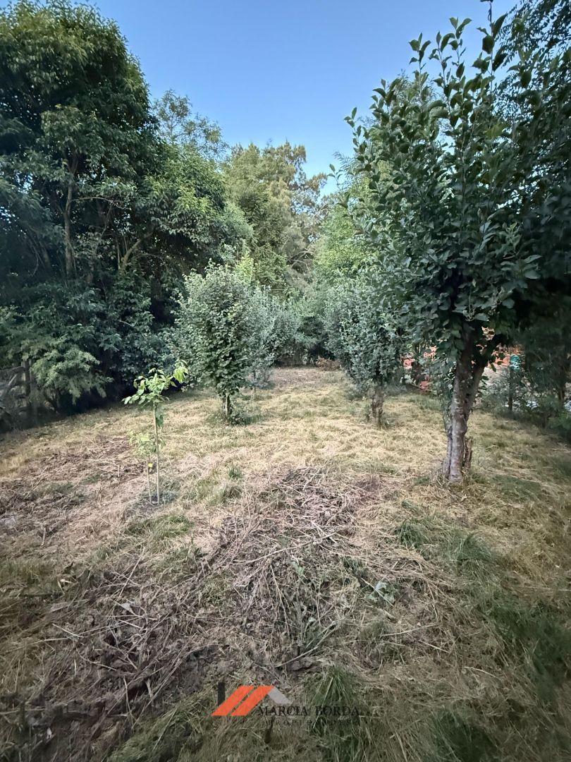 Foto de CASA EN VENTA, imagen 4