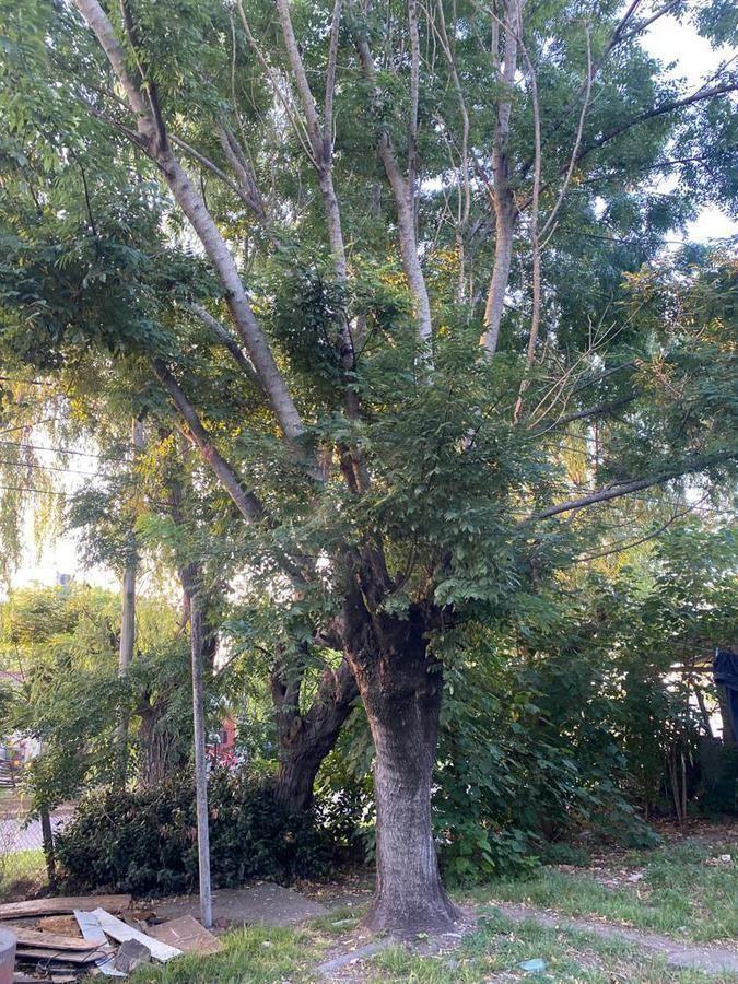 Casa 3 Ambientes. | Calle Ramon Seijas 4