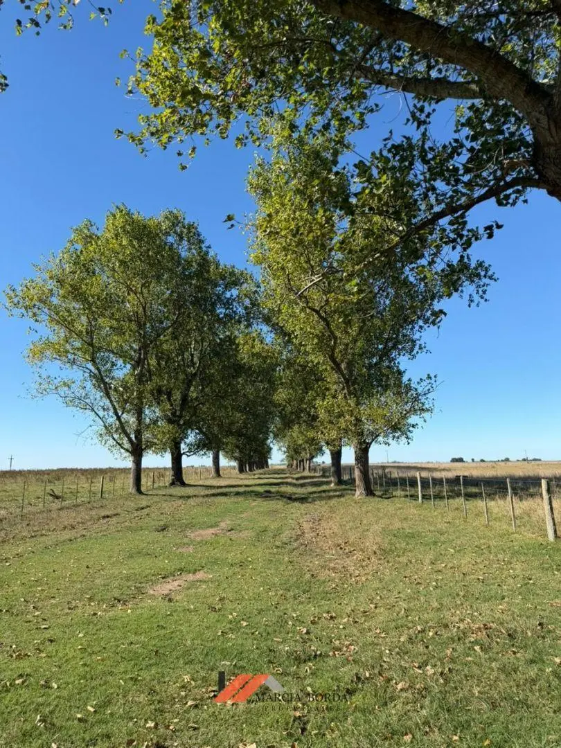 Campo a la venta en Chascomus 5