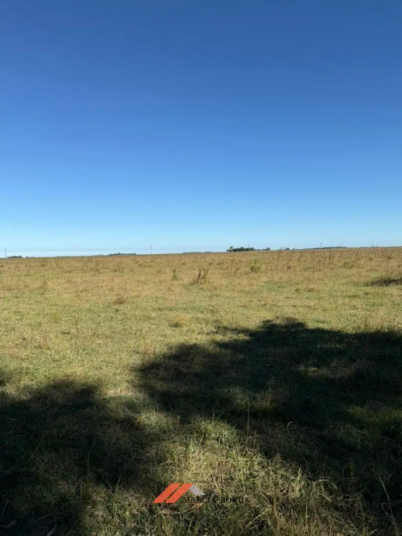 Campo a la venta en Chascomus 1