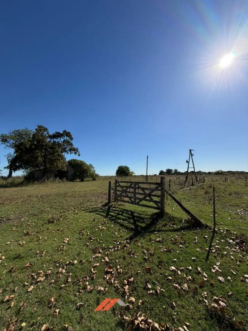 Campo a la venta en Chascomus 2