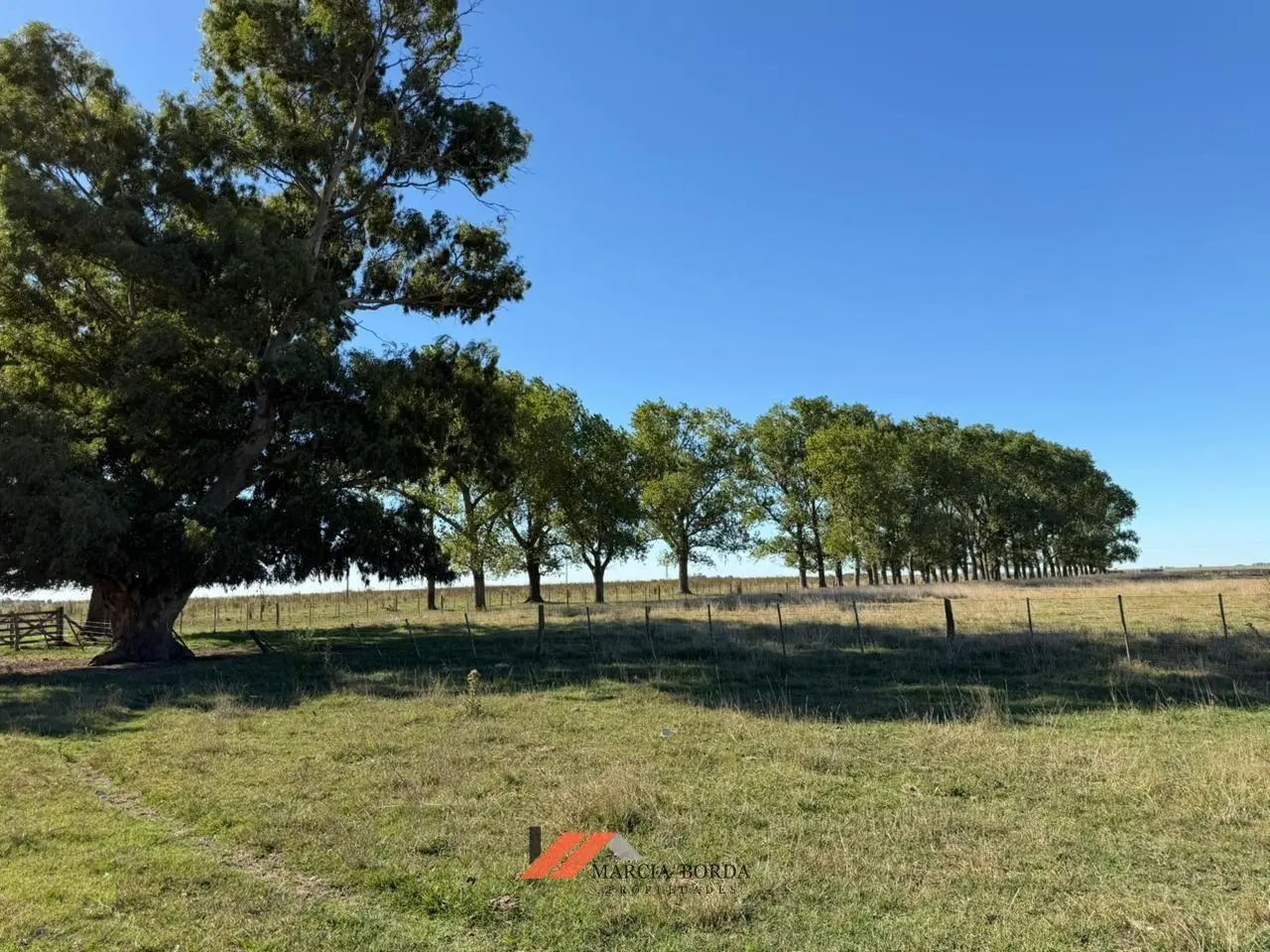 Campo a la venta en Chascomus 4