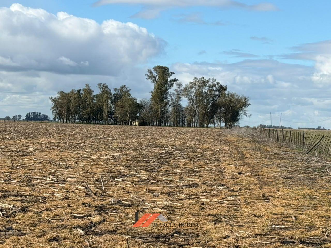 Foto de Campo en venta en Ranchos, imagen 3
