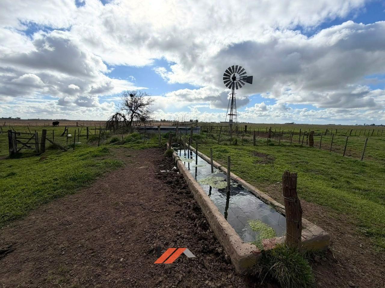 Foto de Campo en venta en Ranchos, imagen 5