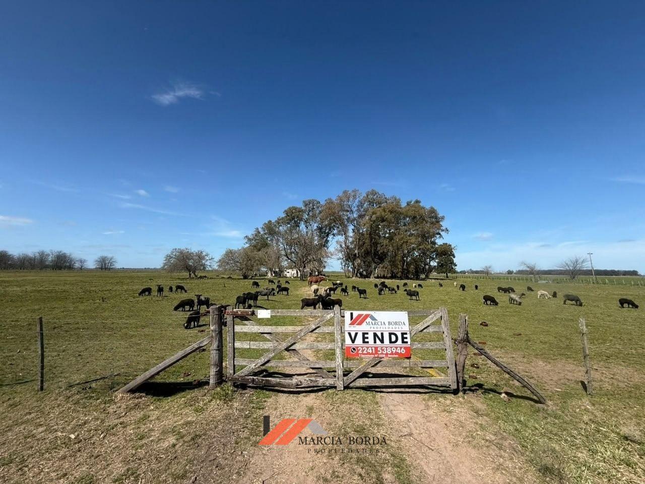Foto de Campo en venta en Ranchos, imagen 1