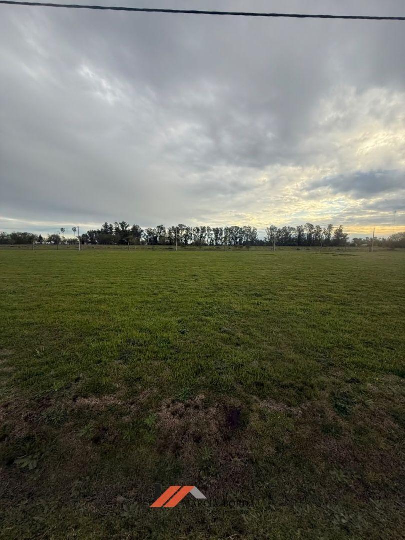 Foto de Lote Nº 19 en venta, en Loma Verde, imagen 3